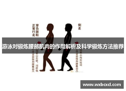 游泳对锻炼腰部肌肉的作用解析及科学锻炼方法推荐