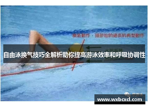 自由泳换气技巧全解析助你提高游泳效率和呼吸协调性